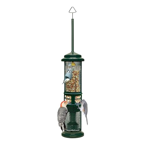 Squirrel Buster Nut Feeder Squirrel-Proof Bird Feeder for Shelled Peanuts & Dried Fruit, 1.3lb Capacity with 2 Interchangeable Meshes