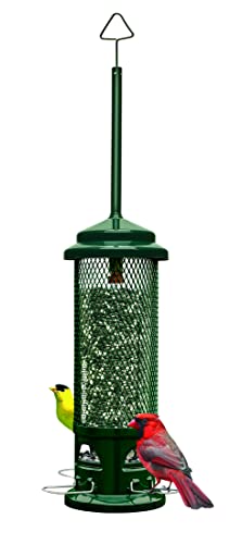 Squirrel Buster Legacy Squirrel-Proof Bird Feeder for Wild Birds – 4 Metal Removable Perches, 2.6 lb Seed Capacity, Green
