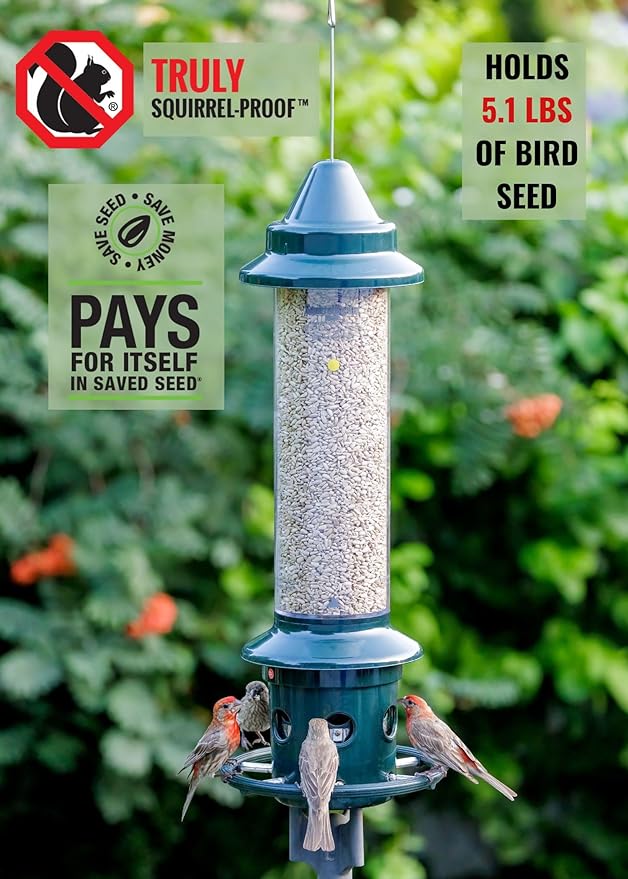 Squirrel Buster Plus Squirrel-proof Bird Feeder w/Cardinal Ring and 6 Feeding Ports, 5.1-pound Seed Capacity, Adjustable, Pole-mountable (POLE ADAPTOR SOLD SEPARATELY)