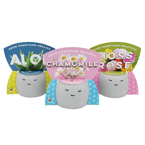 Buzzy Seeds Peaceful Face Grow Kit 3-Pack, Painted Concrete Planters