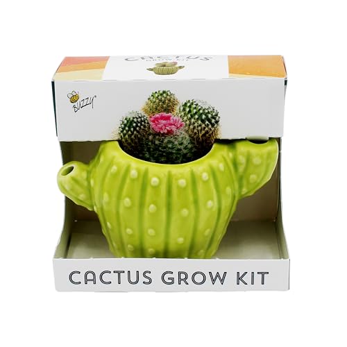 Buzzy Seeds Mini Cactus Grow Kit 4-Pack, Cactus-Shaped Ceramic Pots