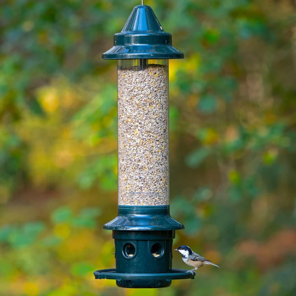Squirrel Buster Plus Squirrel-proof Bird Feeder w/Cardinal Ring and 6 Feeding Ports, 5.1-pound Seed Capacity, Adjustable, Pole-mountable (POLE ADAPTOR SOLD SEPARATELY)