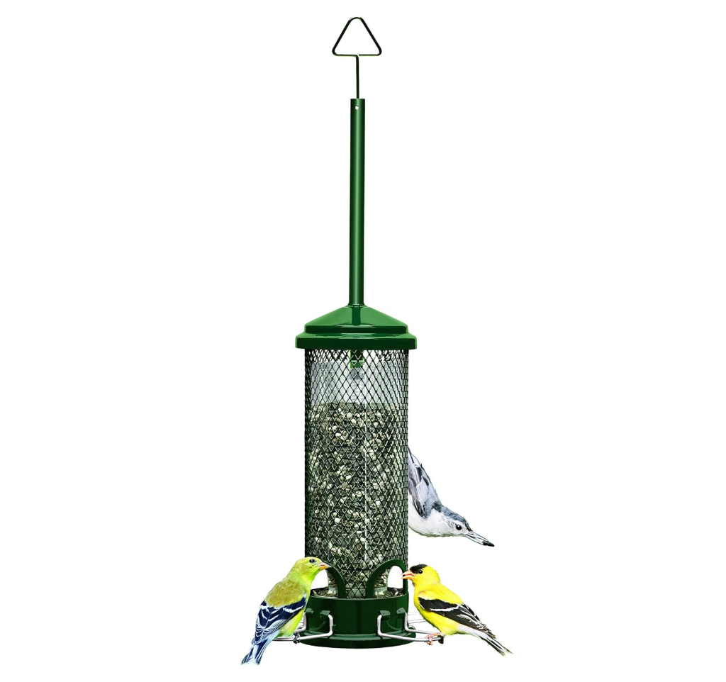 Squirrel Buster Mini Squirrel-Proof Bird Feeder for Wild Birds – 4 Metal Perches, 1 lb Seed Capacity, Chew-Proof Design, Lifetime Care, Garden Green