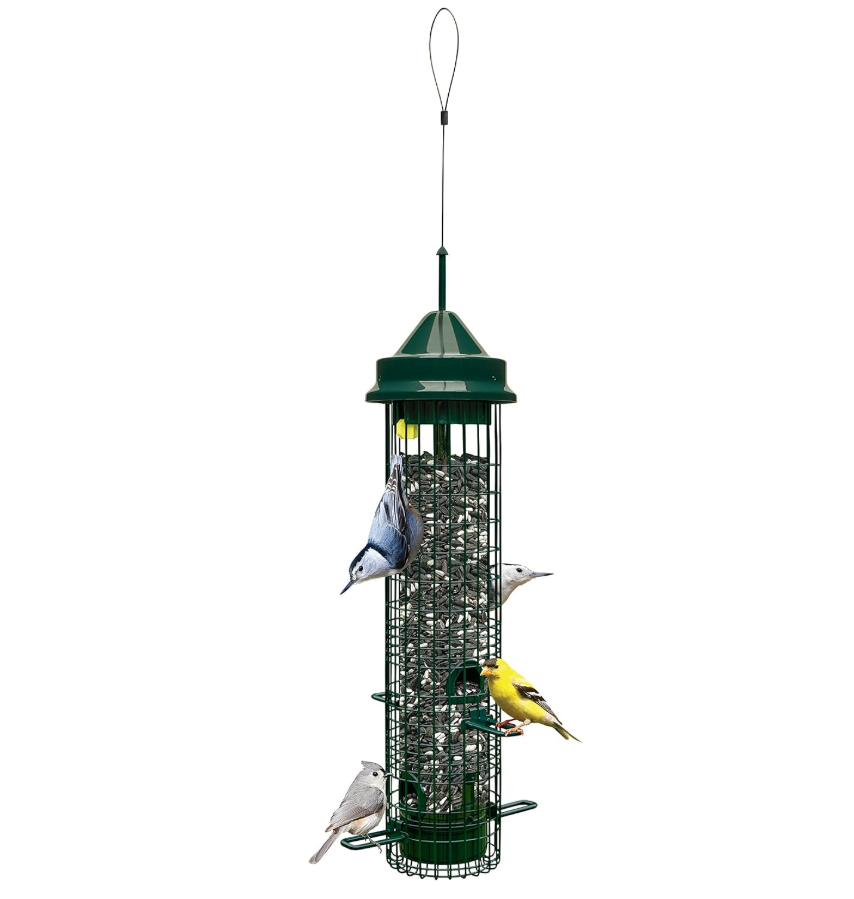 Squirrel Buster Classic Squirrel-proof Bird Feeder w/4 Feeding Ports, 2.4-pound Seed Capacity
