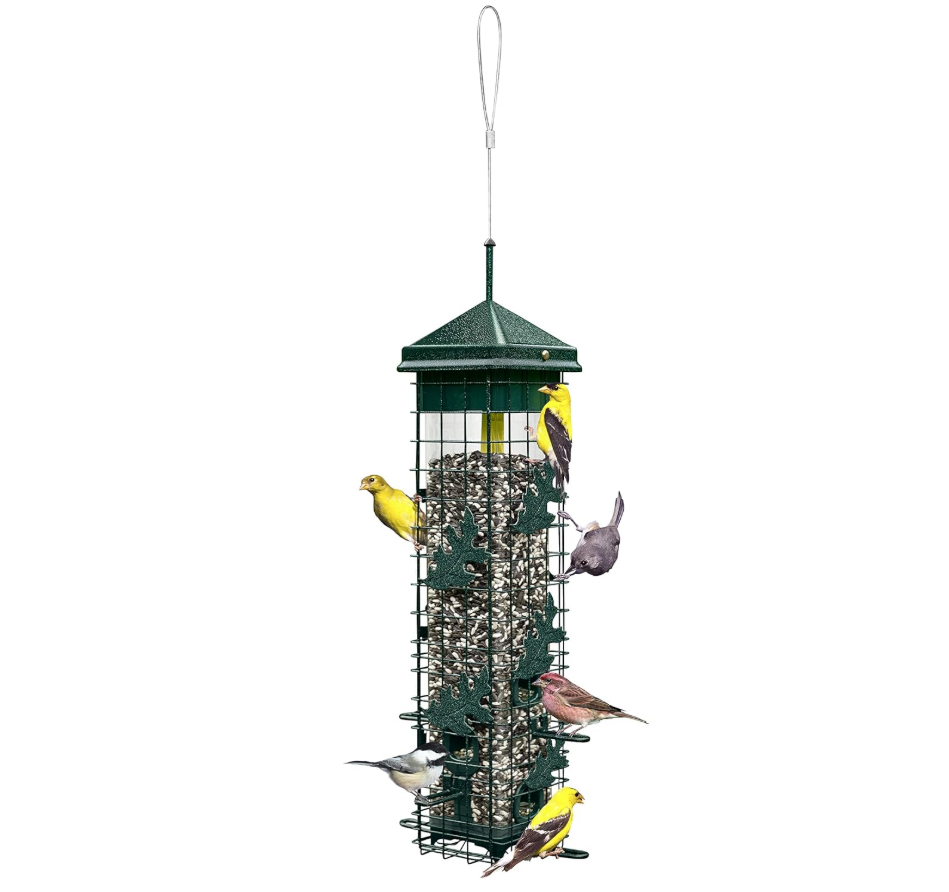 Squirrel Solution200 Squirrel-proof Bird Feeder w/6 Feeding Ports, 3.4-pound Seed Capacity, Free Seed Funnel