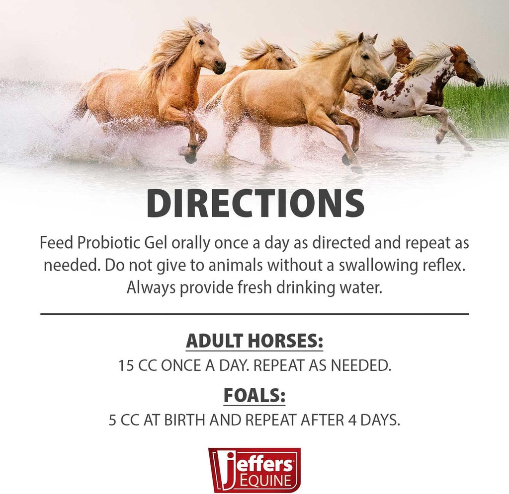 Jeffers Equine Probiotic Oral Gel for Horses, 30 cc Syringe – Supports Healthy Gut, Natural Appetite & Digestion, Horse Supplement w/Prebiotics, Live Microbials (30M CFU), Vitamins A B E, USA Made